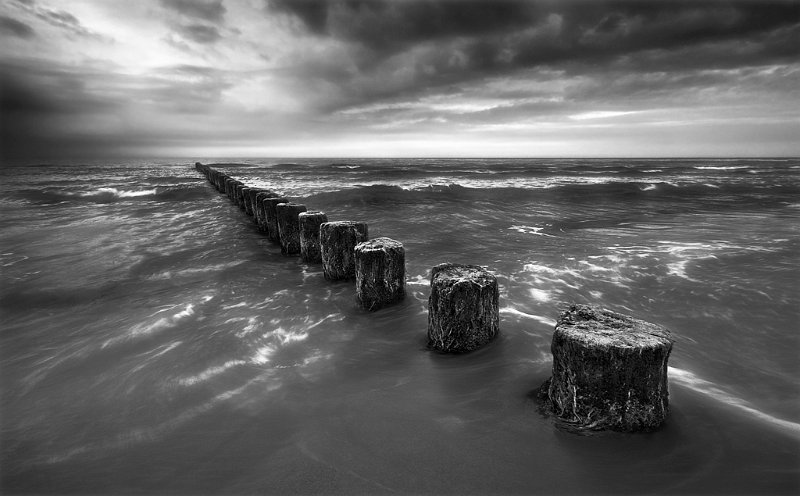 419 - in rain - BROWKO KRZYSZTOF - poland.jpg